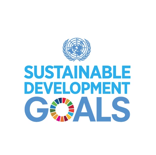 The Sustainable Development Goals (SDGs) logo.